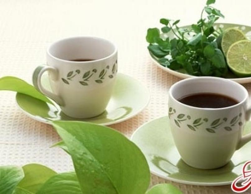 Как правильно заваривать зеленый кофе для похудения? Как заварить зеленый кофе для похудения: три простых способа