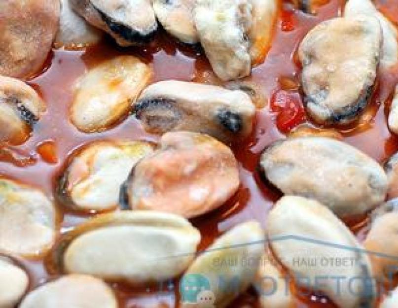Мидии – полезные свойства, польза и вред съедобных моллюсков. Учимся готовить морепродукты: способы варки мидий и правила их выбора