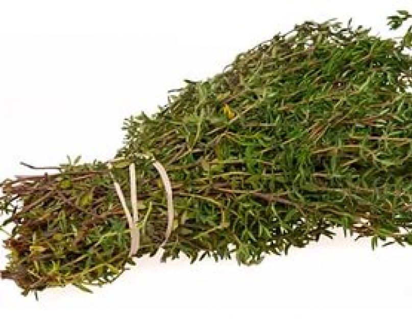 Настойки из чабреца. Польза и побочные действие травы чабрец. Чай с чабрецом и его полезные свойства.