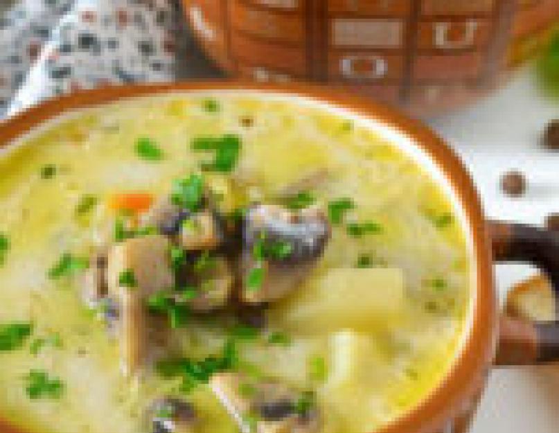 Суп из сыра и грибов. Суп с грибами и плавленным сыром.